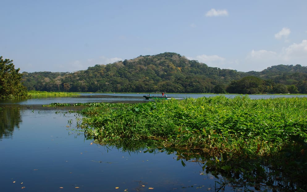 Gatun Lake - Gatun-Lake_1036.jpg